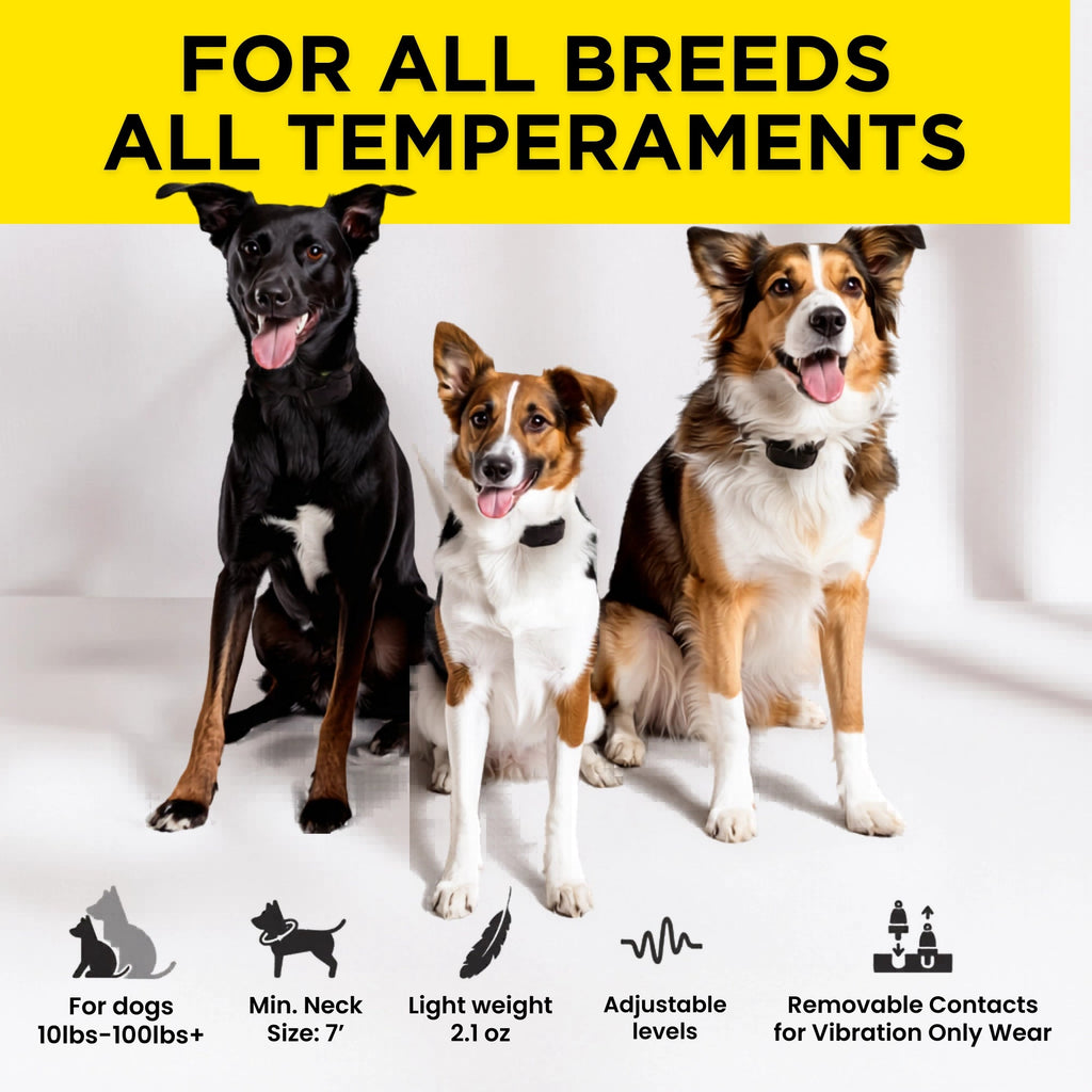 No-Bark Dog Collar product image 6