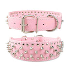 Dog Collar product image 6