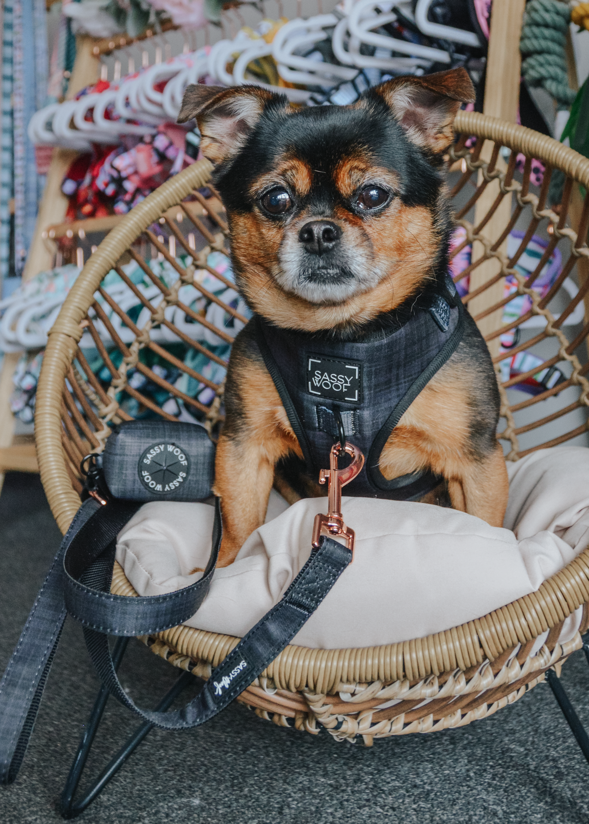 Adjustable Dog Harness product image 6