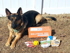 Dog Toy Box product image 6