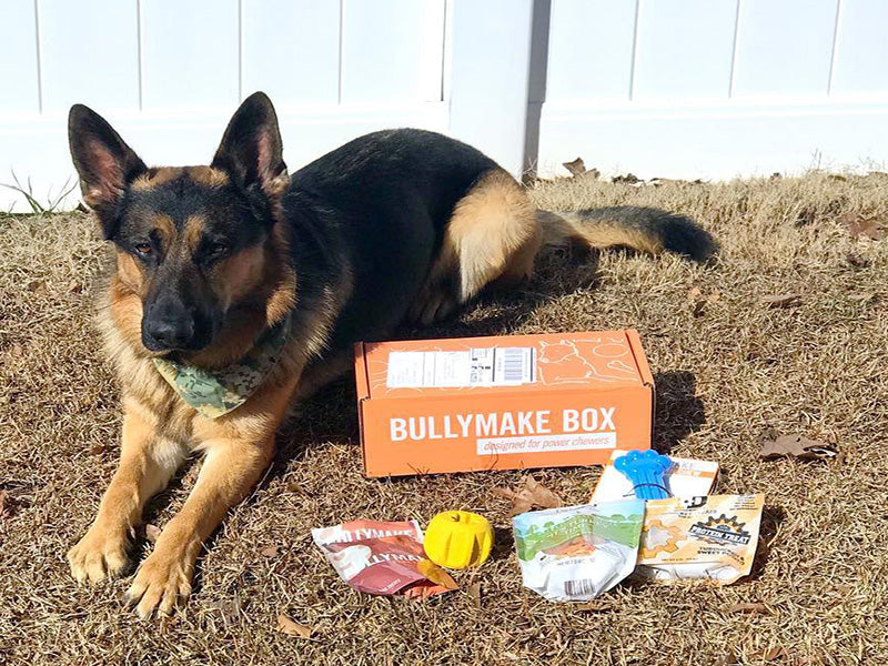 Dog Toy Box product image 6