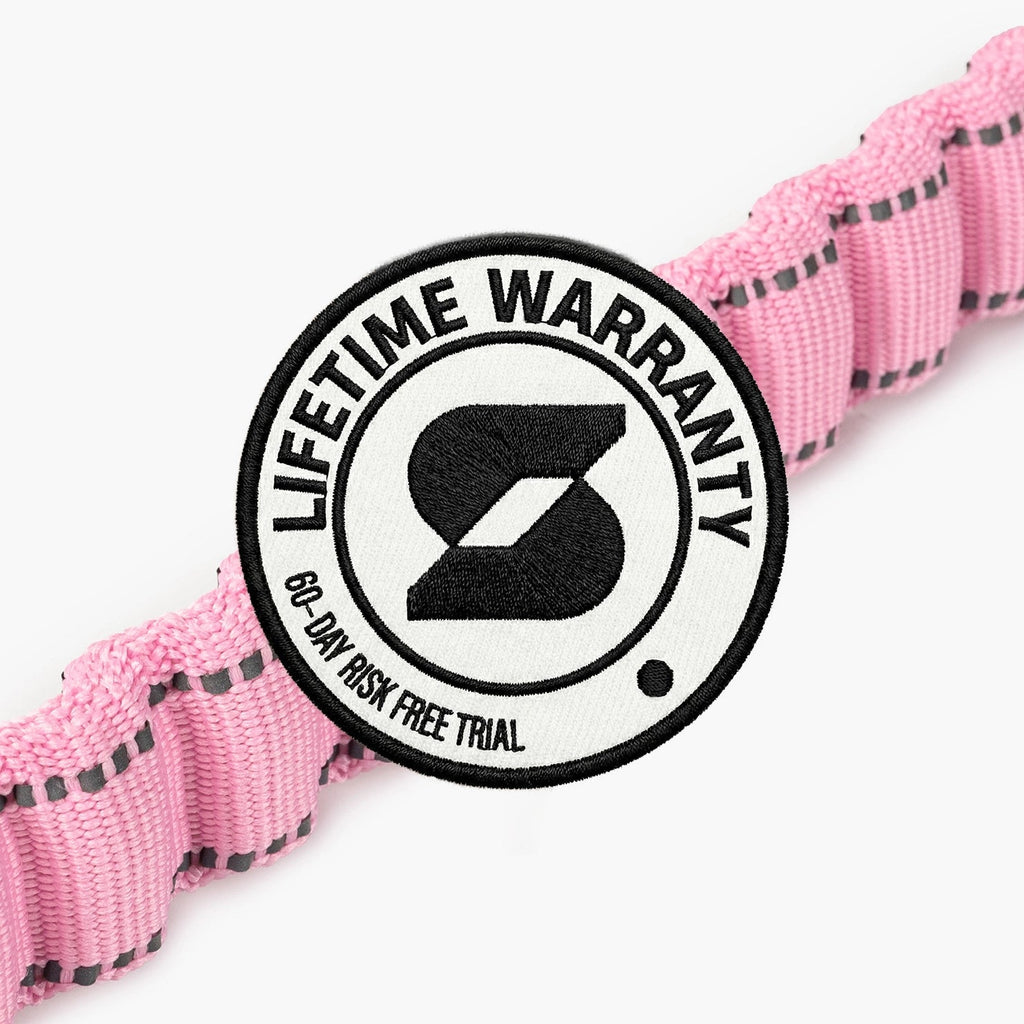 Bungee Dog Leash product image 6