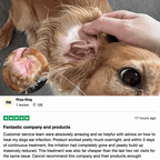 Dog Ear Drops product image 6
