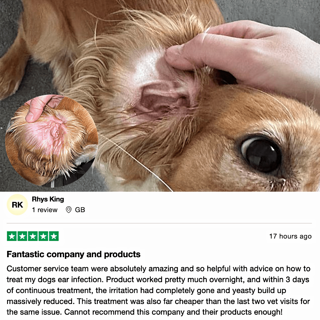 Dog Ear Drops product image 6