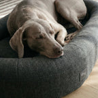Memory Foam Dog Bed product image 6
