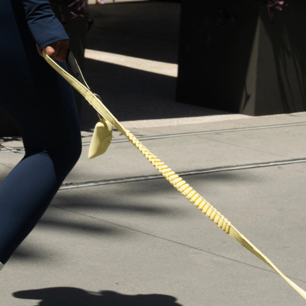 Bungee Dog Leash product image 6