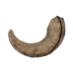 Large Lamb Horn Dog Chew product image 6