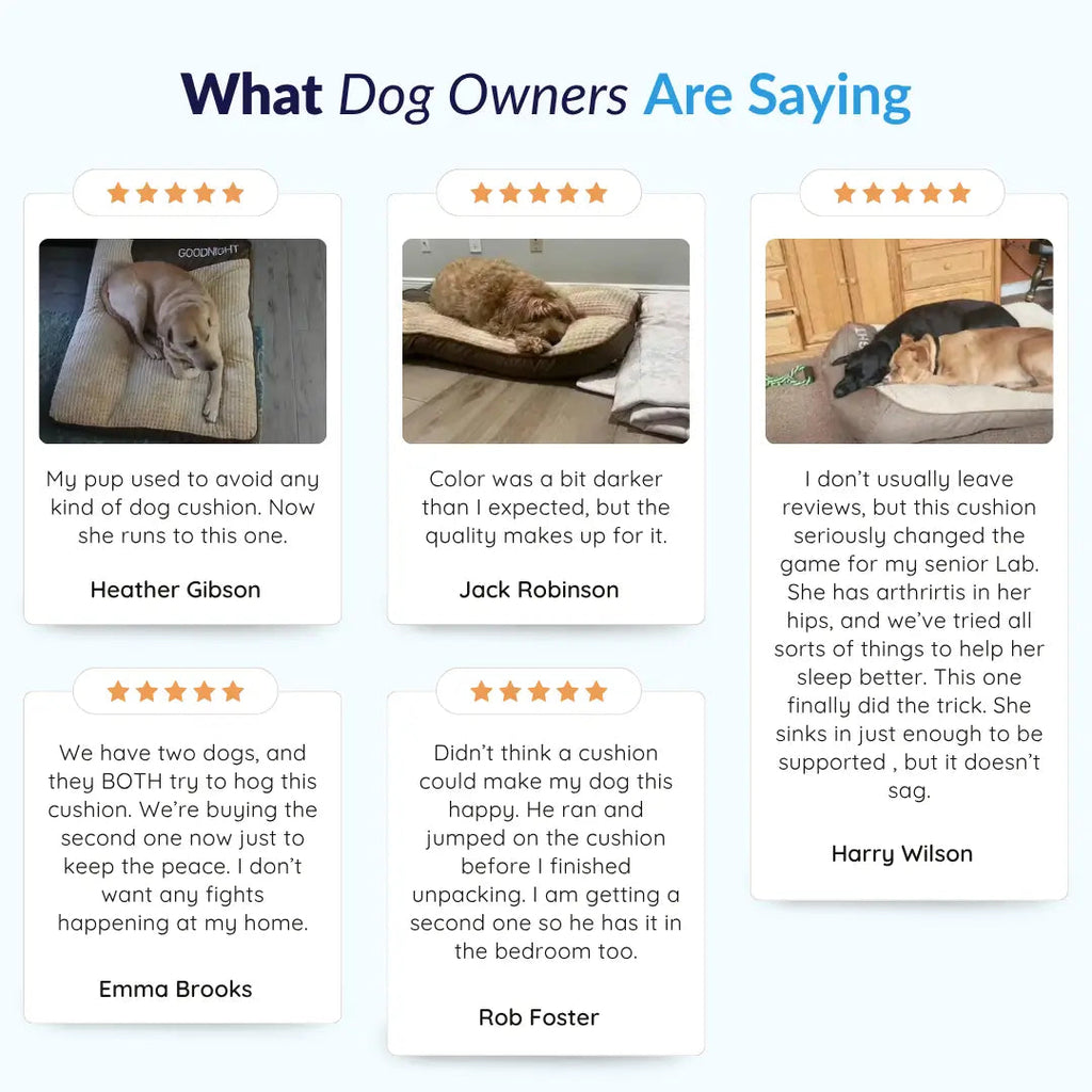 Calming Dog Cushion product image 6