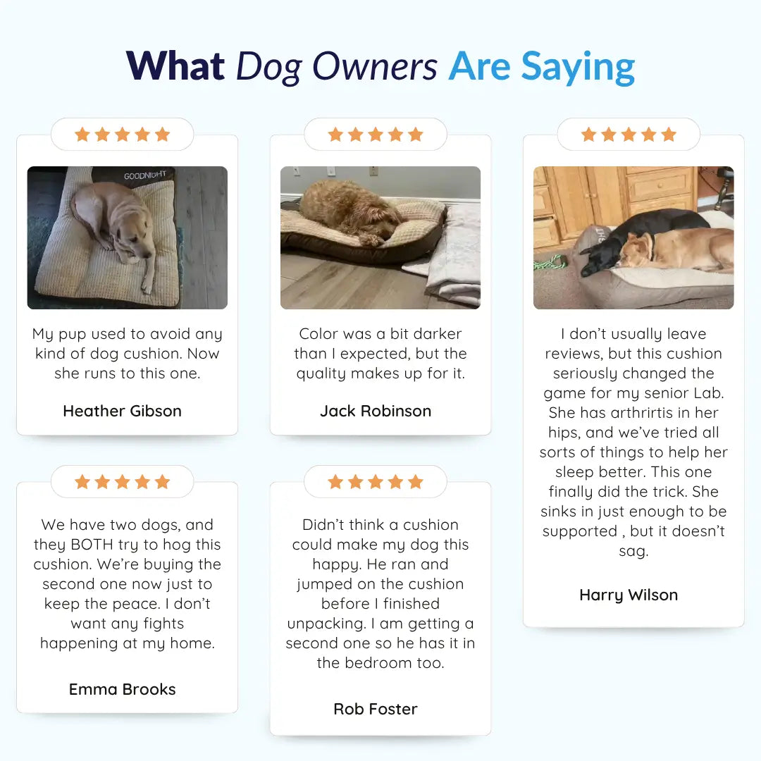 Calming Dog Cushion product image 6