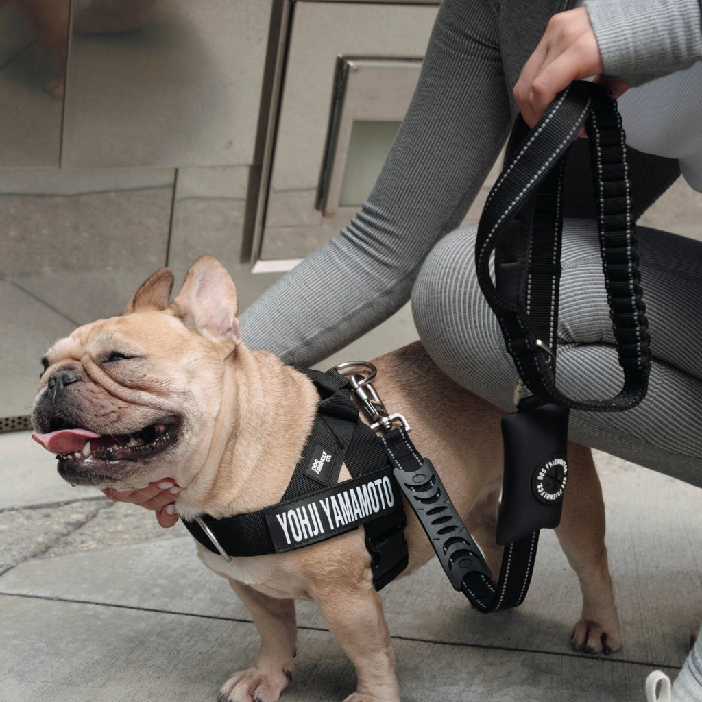 Bungee Dog Leash product image 6