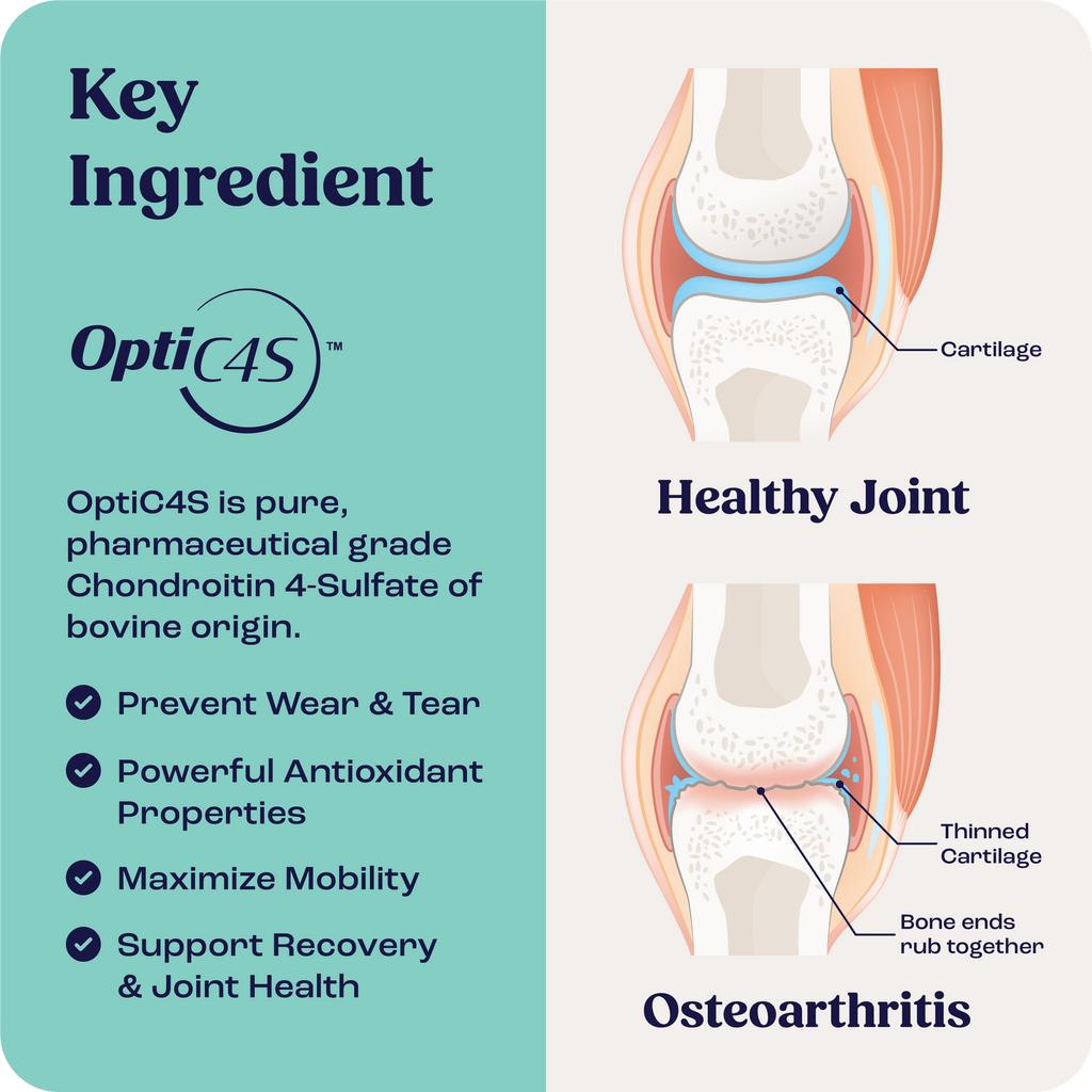 Dog Joint Supplement product image 6