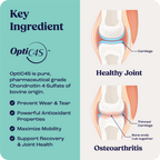 Dog Joint Supplement product image 6