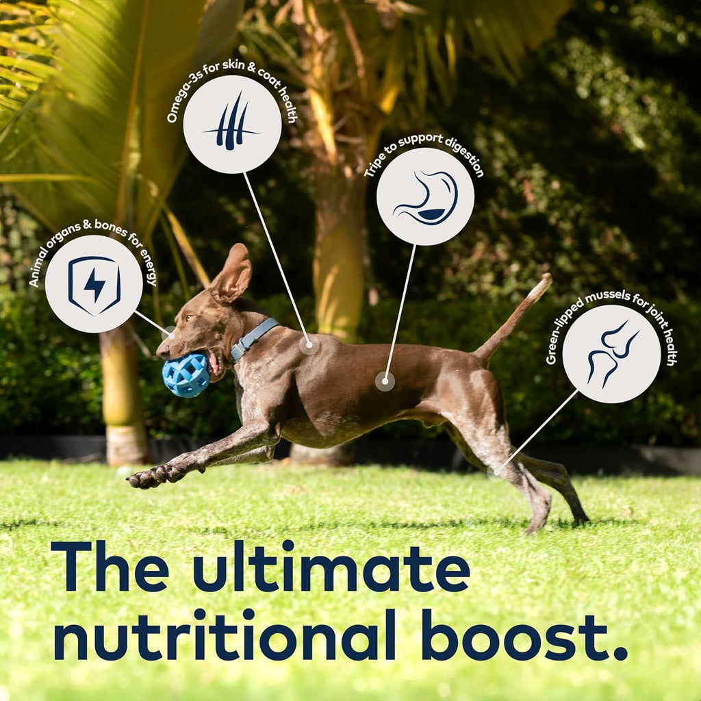 Air-Dried Chicken Dog Food product image 6
