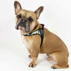 Pet Harness product image 6
