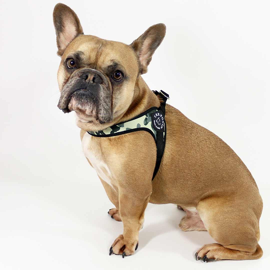 Pet Harness product image 6
