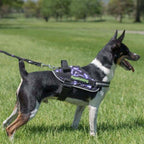 Dog Harness product image 6