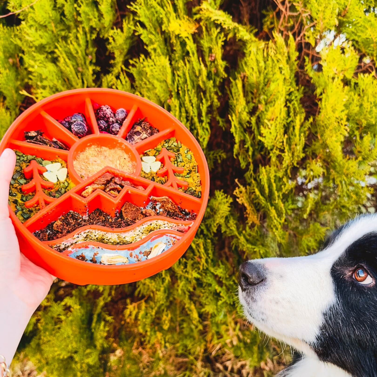 Slow Feeder Dog Bowl product image 6