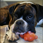 Dog Chew Toy Collection product image 6