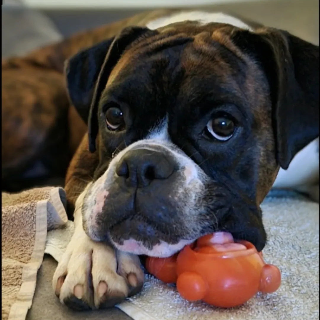 Dog Chew Toy Collection product image 6