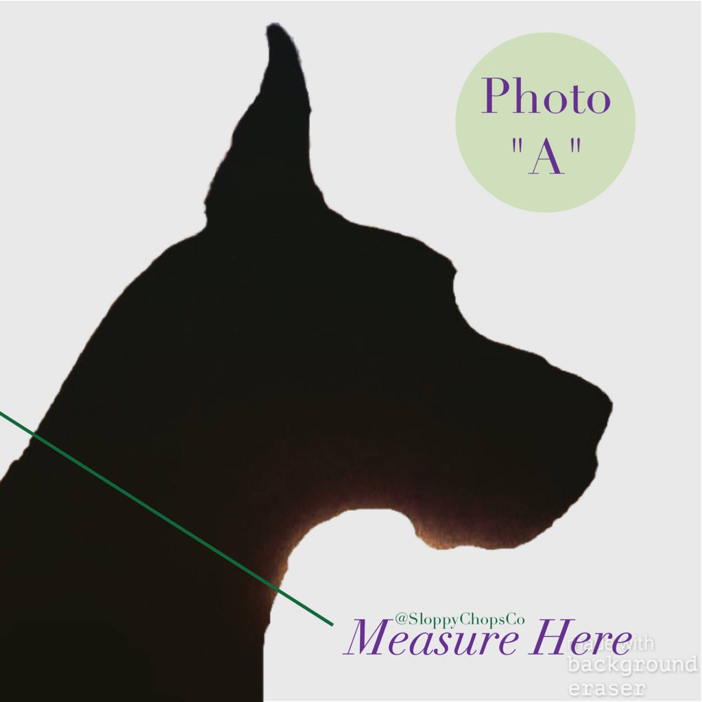 Martingale Collar product image 6