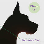 Martingale Collar product image 6