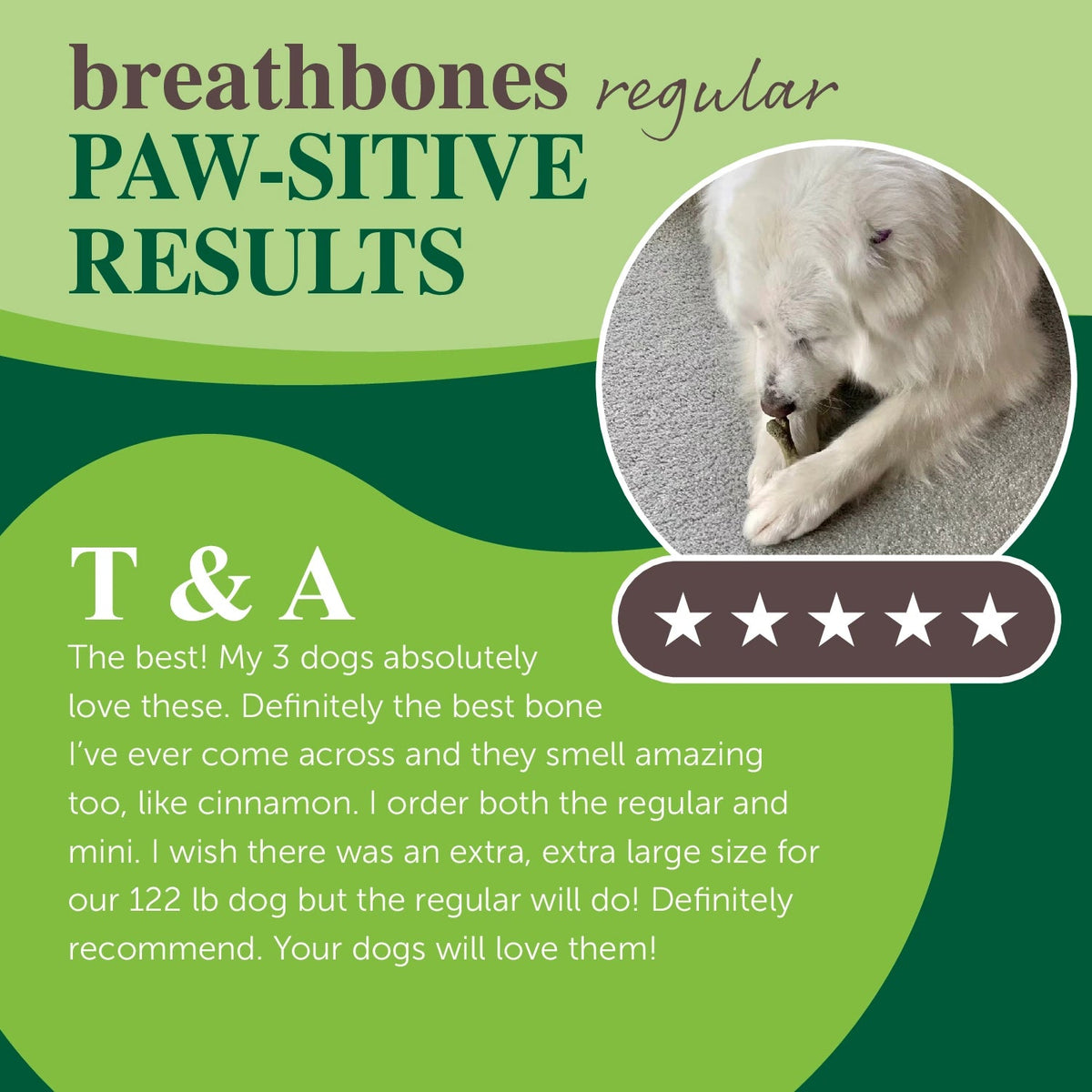 Dog Dental Chew product image 6