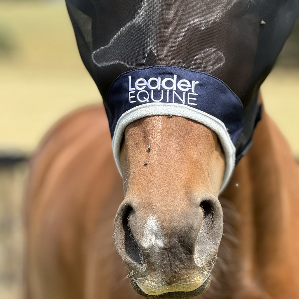 Horse Fly Mask product image 6
