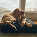 Orthopedic Dog Bed product image 6