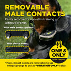 Dog Training Receiver product image 6