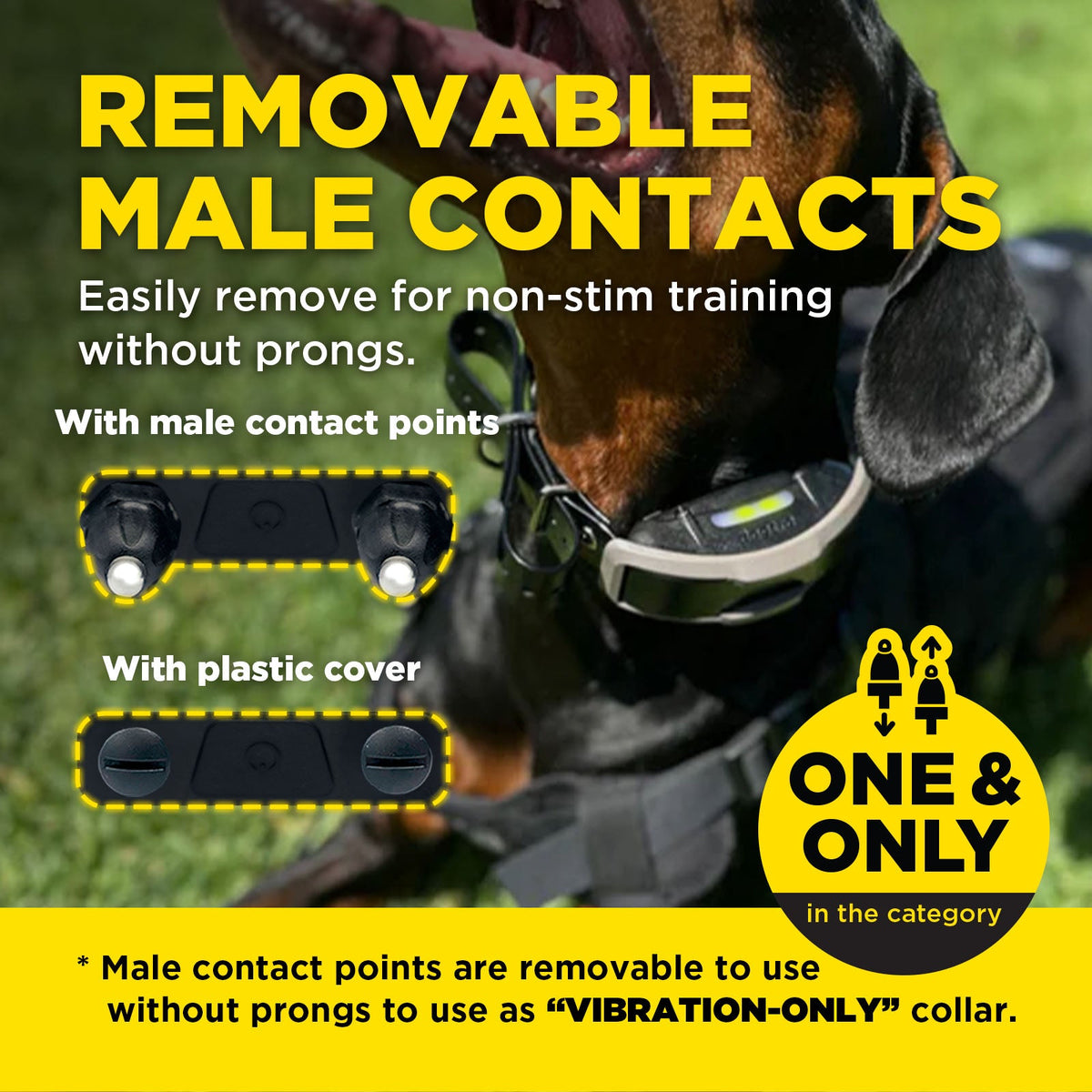 Dog Training Receiver product image 6
