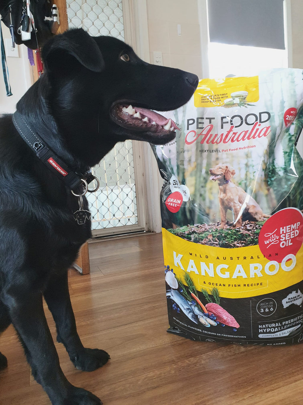 Kangaroo and Ocean Fish Dry Dog Food product image 6