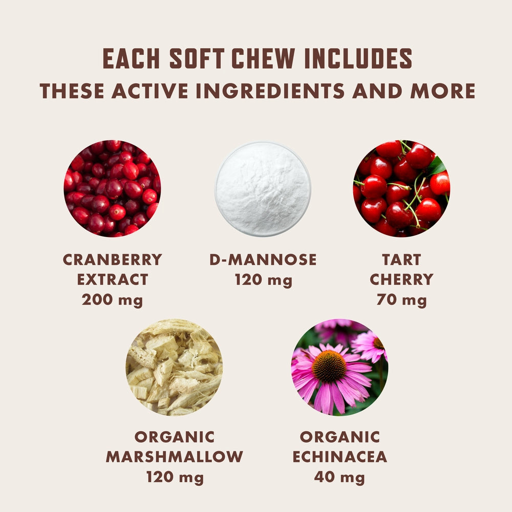 Dog Urinary Supplement product image 6