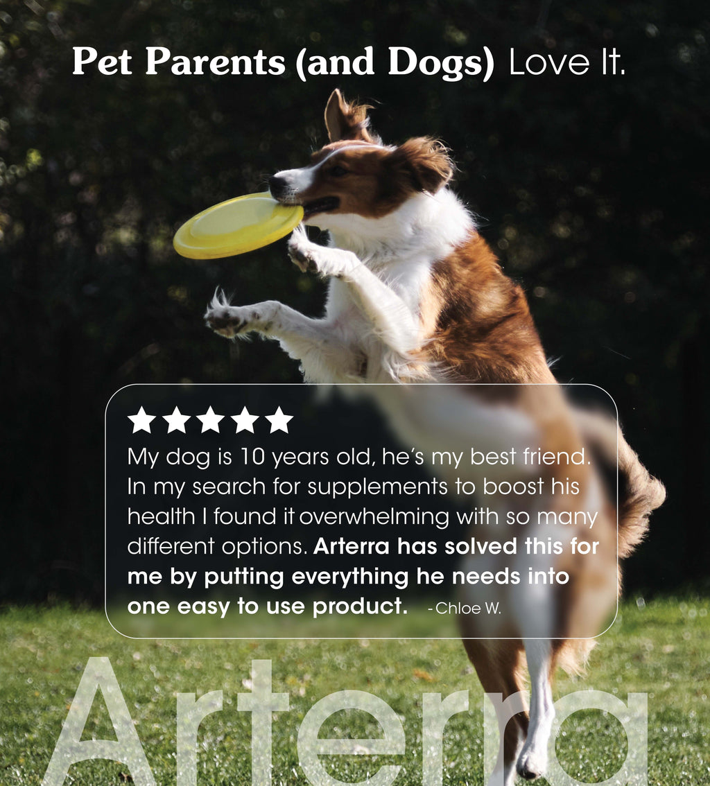 Senior Dog Multivitamin product image 6