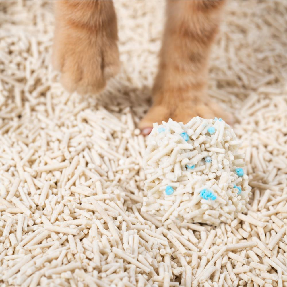 Tofu Cat Litter product image 6