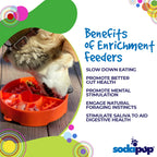 Slow Feeder Dog Bowl product image 6