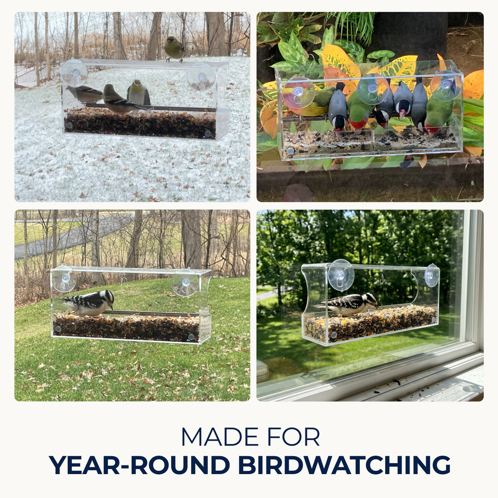 Window Bird Feeder product image 6