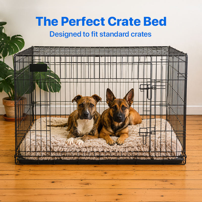 Memory Foam Dog Bed product image 6