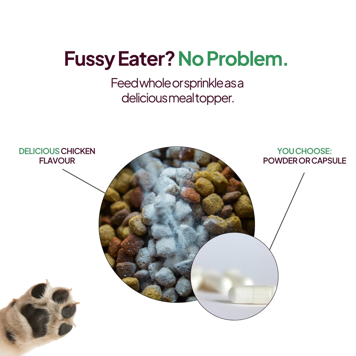 Dog Joint Supplement product image 6