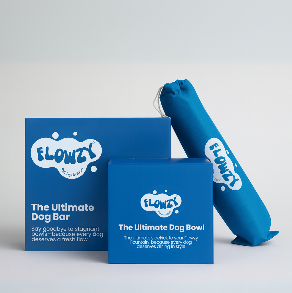 Dog Feeding Station product image 6