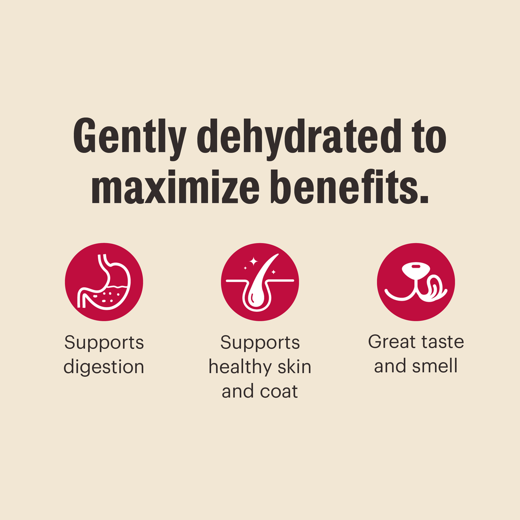 dehydrated dog food from The Honest Kitchen