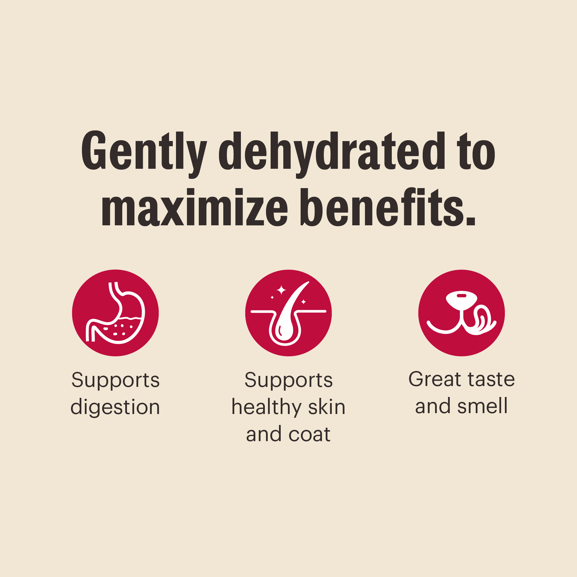 dehydrated dog food from The Honest Kitchen