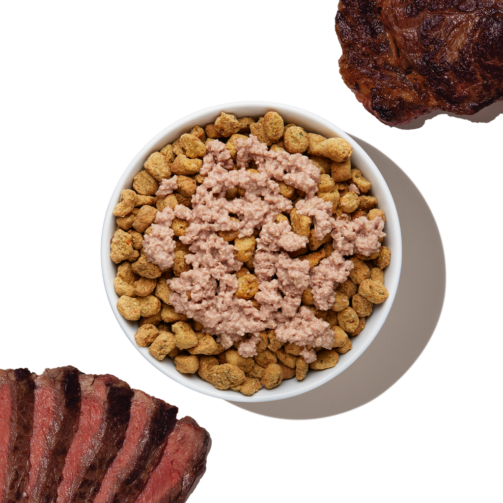99% Beef Dog Food Meal Booster, Human-Grade High-Protein Topper in Twelve 5.5 oz Pour-and-Serve Packs source image 7