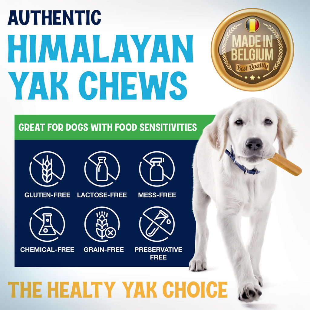 Himalayan Yak Cheese Dog Chews, Three-Ingredient Long-Lasting Milk Sticks in 3-Pack, 5-Pack or 3 lb Sizes source image 7
