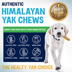 Himalayan Yak Cheese Dog Chews, Three-Ingredient Long-Lasting Milk Sticks in 3-Pack, 5-Pack or 3 lb Sizes source image 7