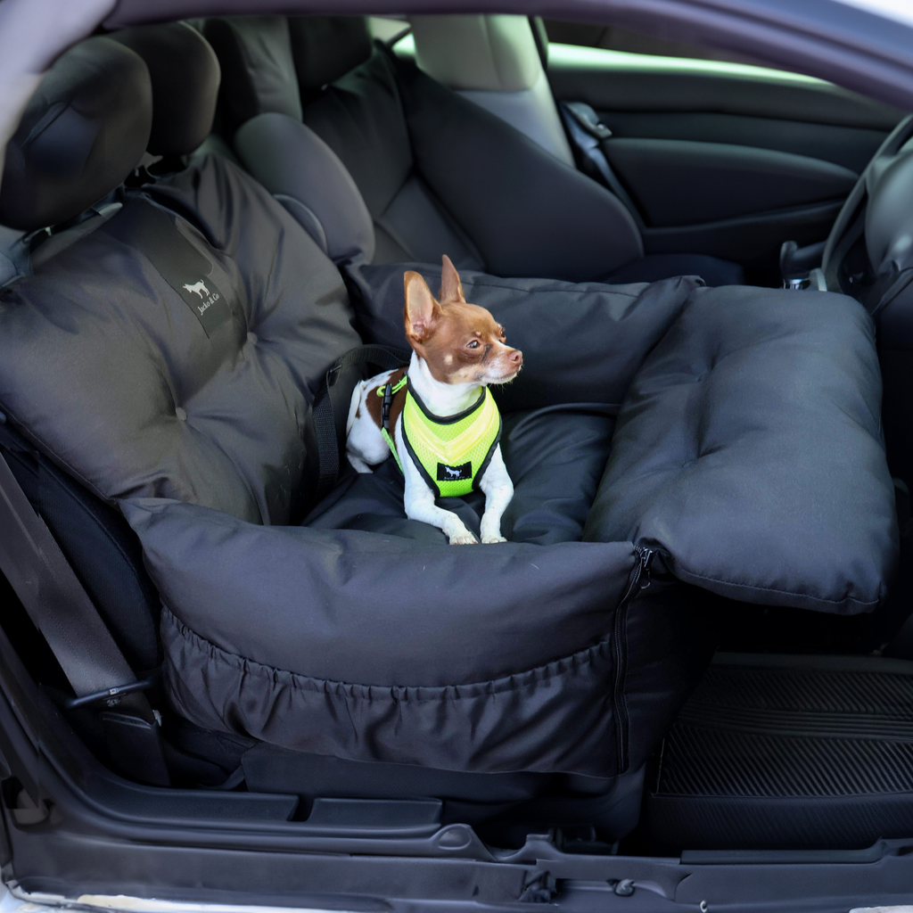 Pet Car Seat and Carrier for Dogs or Cats up to 25 lb, Water-Resistant Oxford Seat with Removable Cushion source image 7