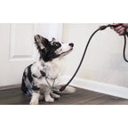 Rolled Leather Martingale Dog Collar, Seam-Free Round Design for Controlled Walks in 10 to 22 Inch Sizes source image 7