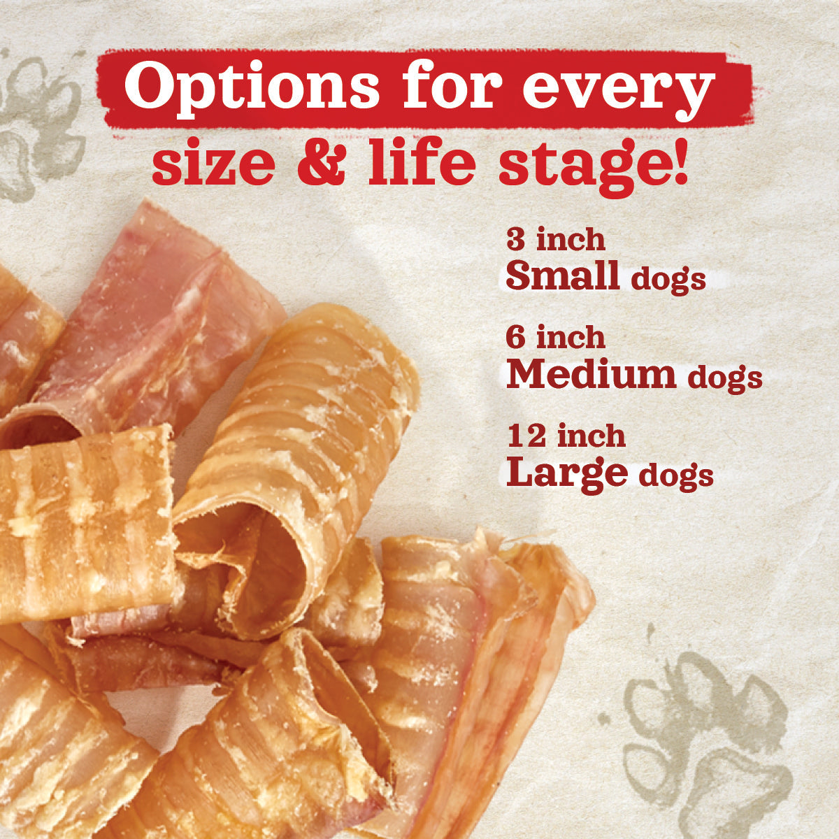 12 Inch Beef Trachea Dog Chews, Single-Ingredient Grass-Fed Treats in an Eight Pack for Supervised Chewing source image 7