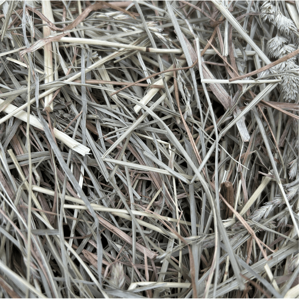 First-Cutting Timothy and Orchard Grass Hay Blend, Hand-Packed High-Fiber Feed in Six Bag Sizes source image 7