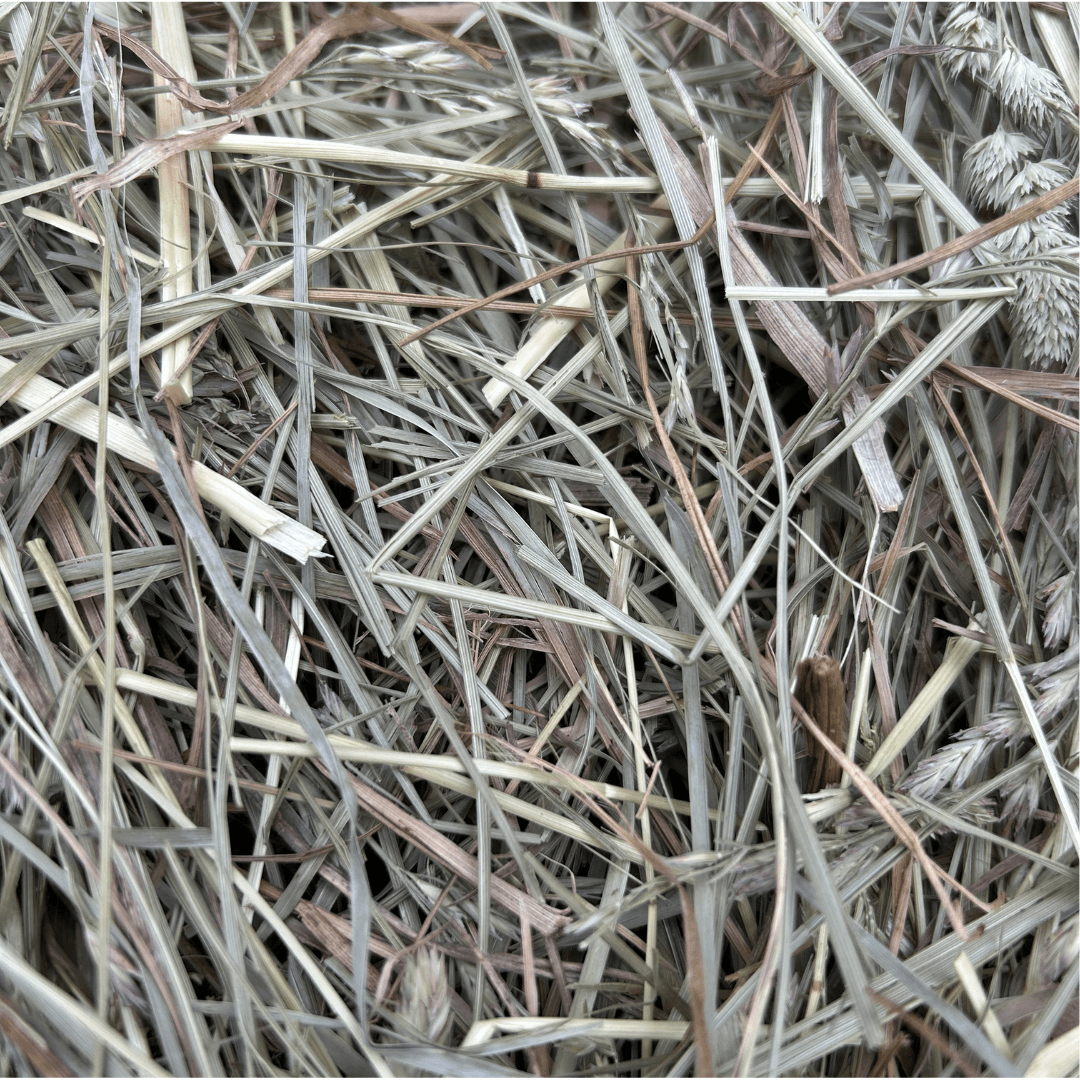 First-Cutting Timothy and Orchard Grass Hay Blend, Hand-Packed High-Fiber Feed in Six Bag Sizes source image 7
