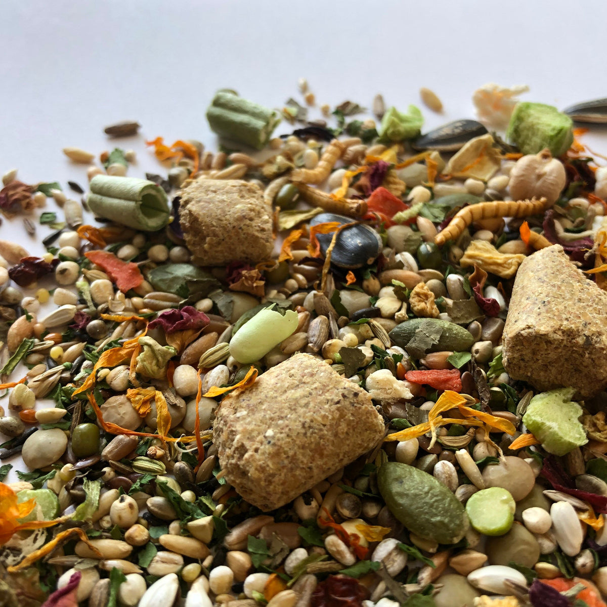 Syrian Hamster Food Mix, Age-Specific Young and Adult Recipes Featuring Seeds, Grains and Insects source image 7
